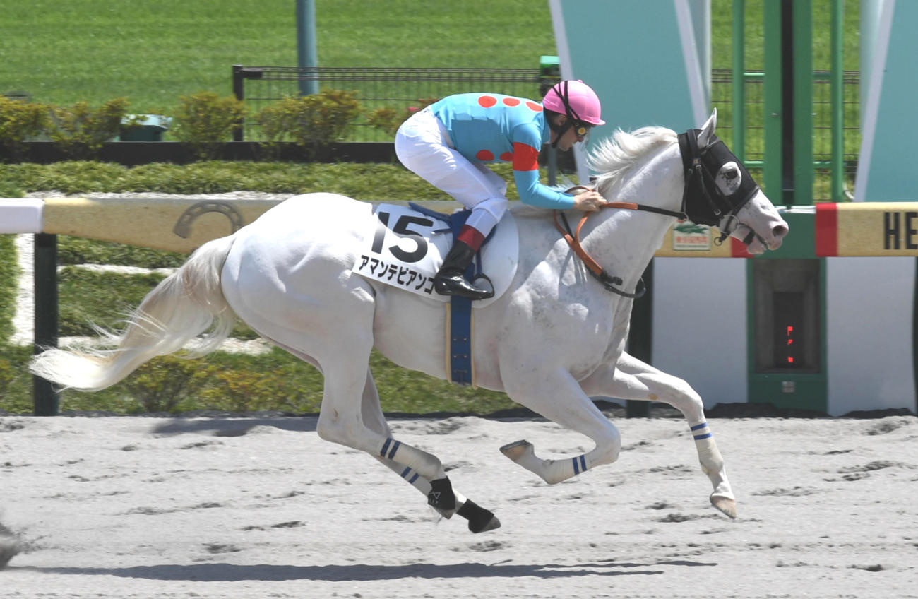 東京6R、新馬戦を制したアマンテビアンコとルメール騎手（撮影・柴田隆二）