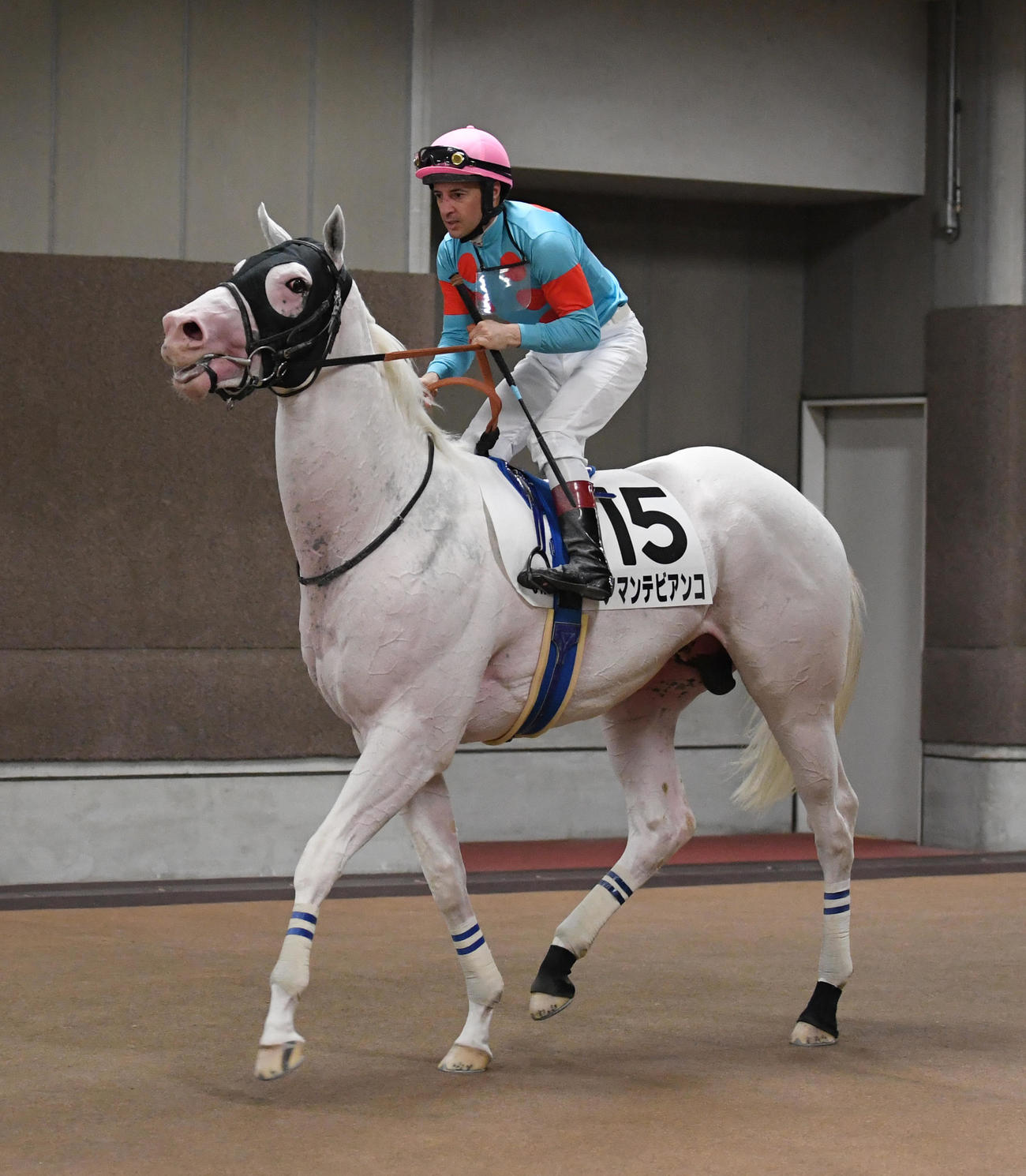 東京6R、新馬戦を制したアマンテビアンコとルメール騎手（撮影・柴田隆二）