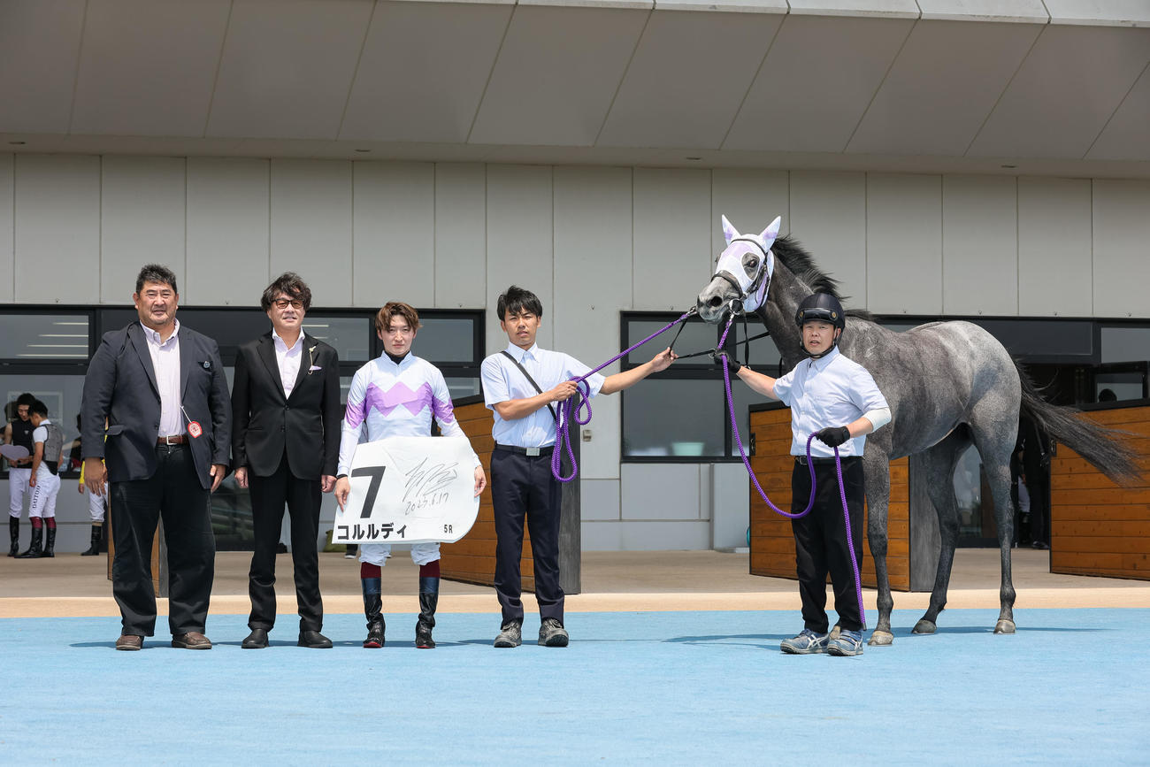 函館5R、デビュー戦を制したコルルディ（撮影・村野早祐）