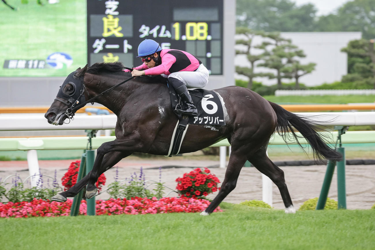 STV杯を制したアップリバーと吉田隼騎手（撮影・村野早祐）