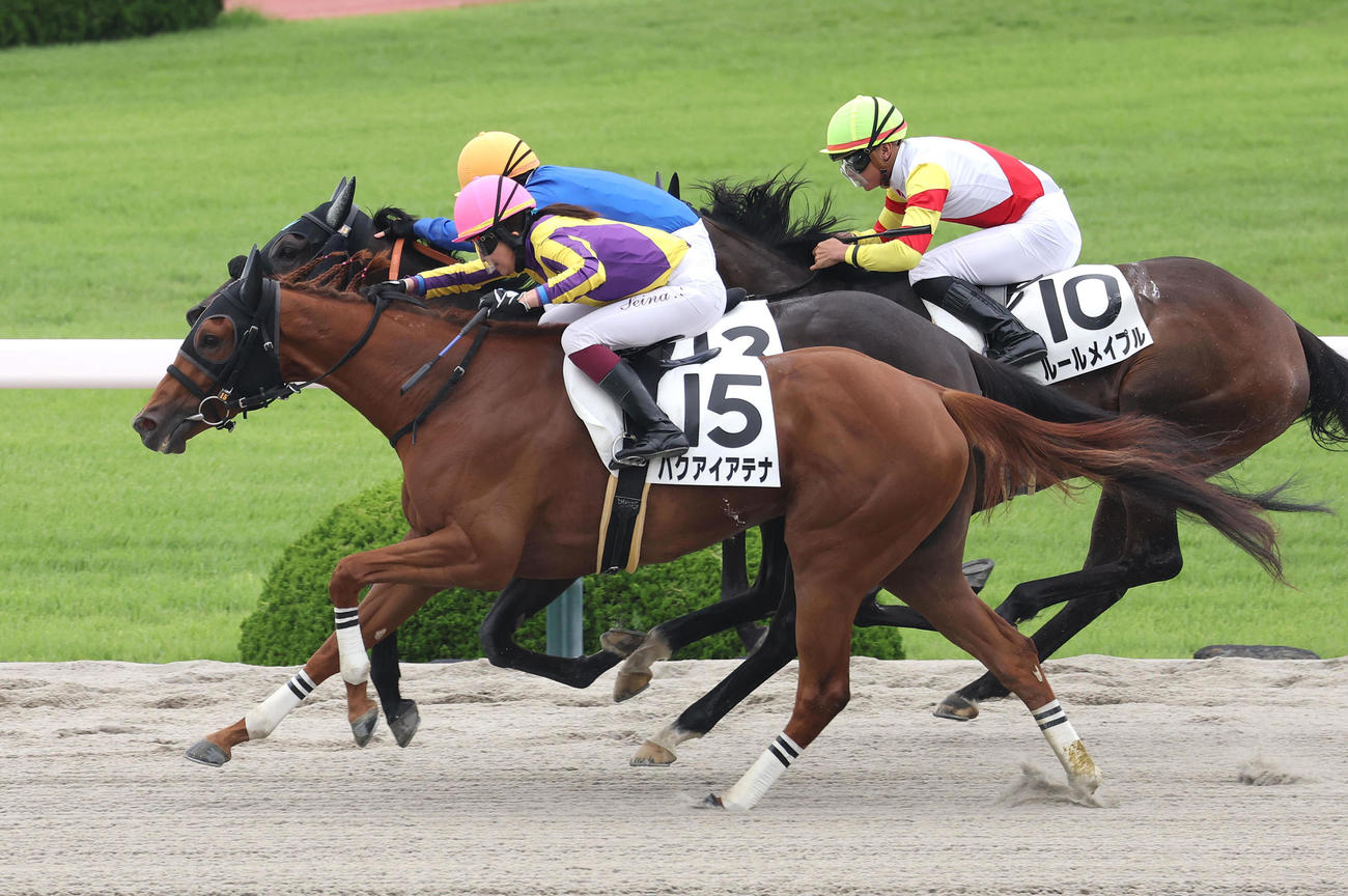 阪神1R、ハクアイアテナに騎乗して復帰後初勝利を挙げた今村騎手（撮影・白石智彦）