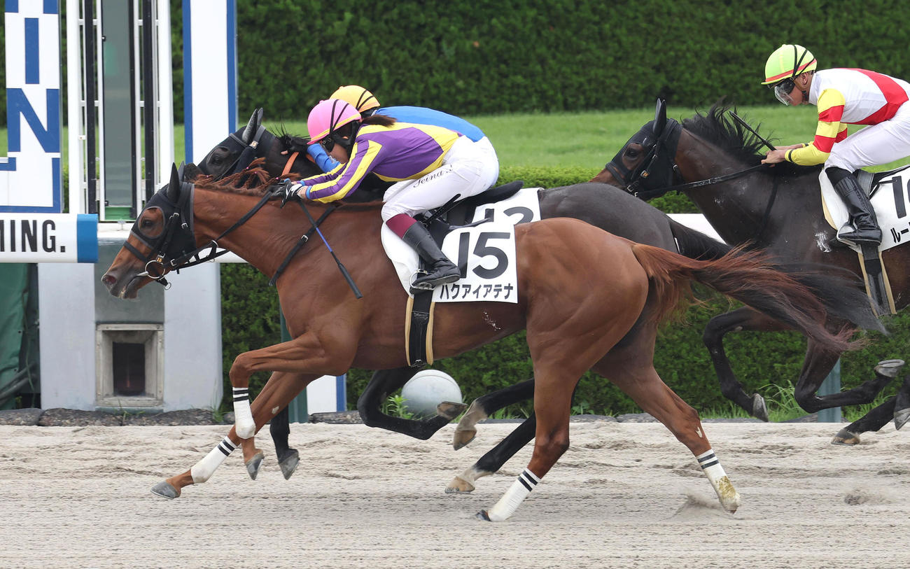 阪神1R、ハクアイアテナに騎乗して復帰後初勝利を挙げた今村騎手（撮影・白石智彦）