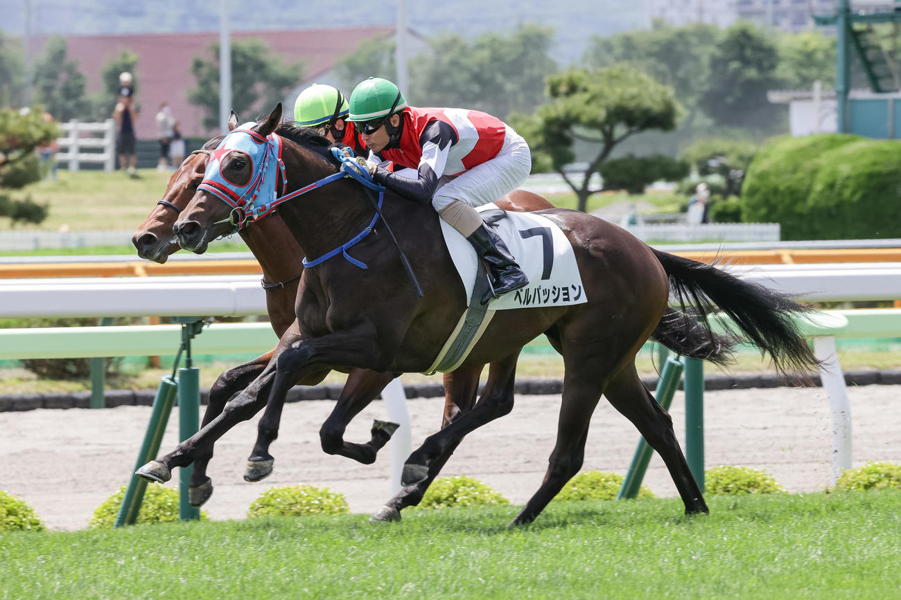 函館5R、デビュー戦を制したベルパッションと松田騎手（手前）（撮影・村野早祐）