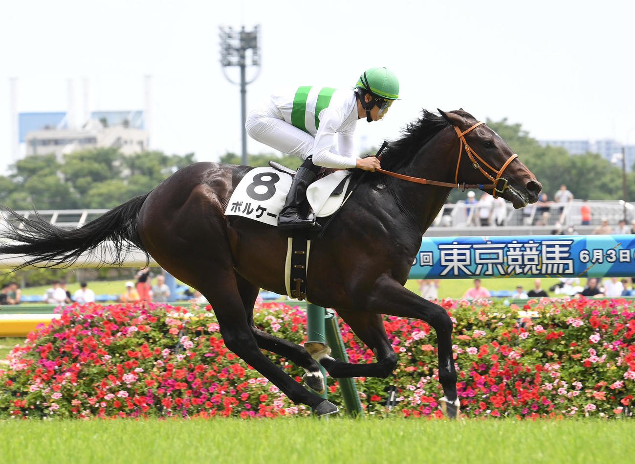東京5R、新馬戦を制したボルケーノと松山騎手（撮影・柴田隆二）