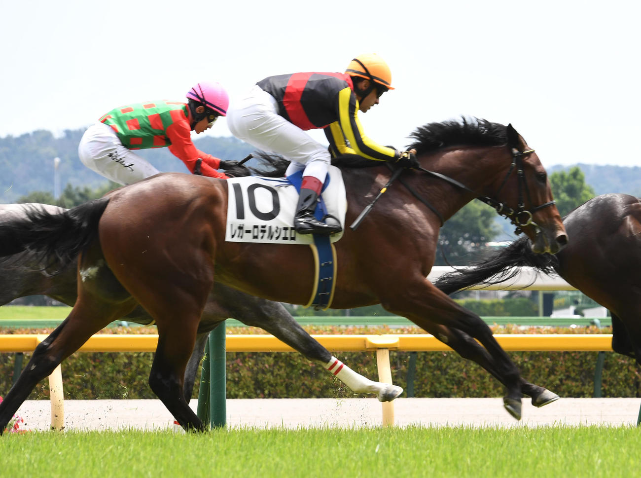 新馬戦で3着に敗れたレガーロデルシエロとルメール騎手（撮影・柴田隆二）