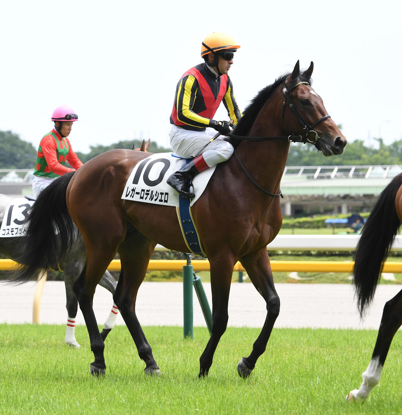 新馬戦で3着に敗れたレガーロデルシエロとルメール騎手（撮影・柴田隆二）
