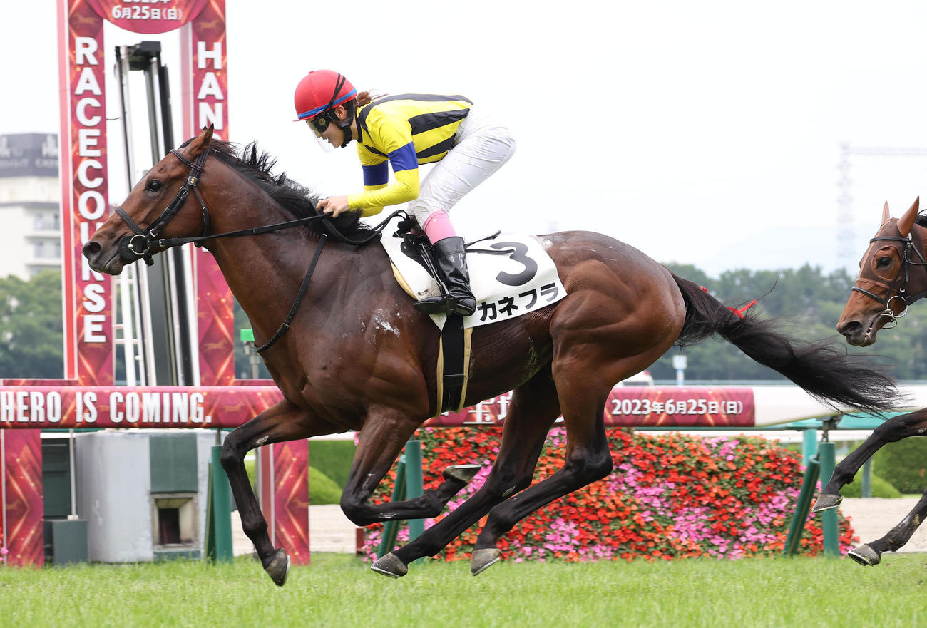 阪神8R、カネフラに騎乗して復帰後初勝利を挙げた永島騎手（撮影・白石智彦）