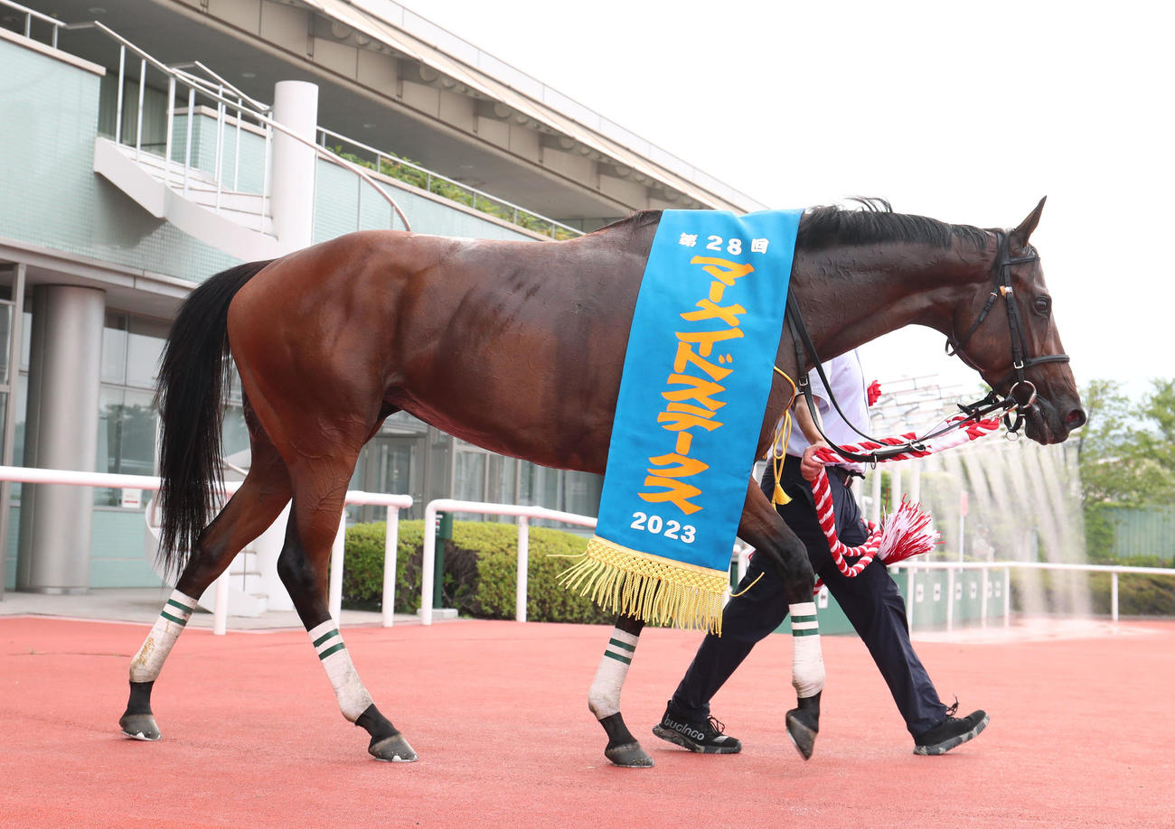 マーメイドSを制したビッグリボン（撮影・白石智彦）