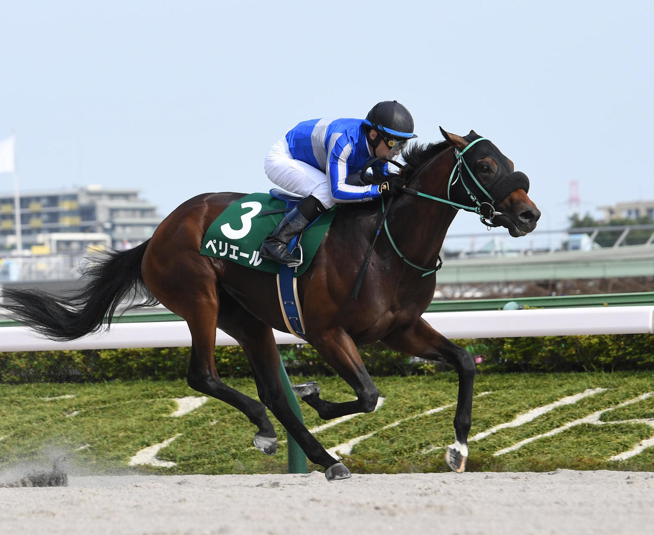ユニコーンSを制したペリエールとルメール騎手（撮影・柴田隆二）