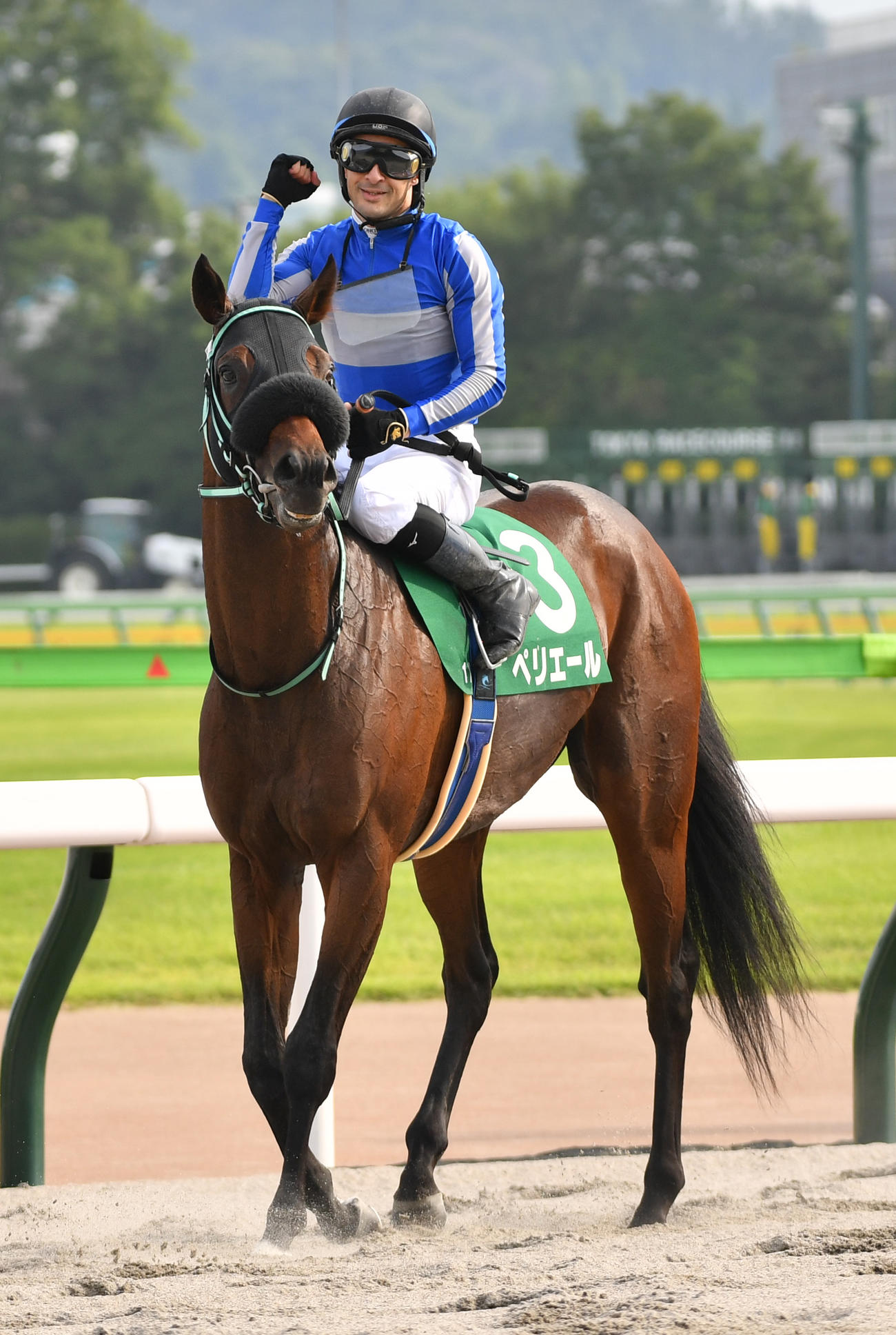 ユニコーンSを制したペリエールとルメール騎手（撮影・柴田隆二）