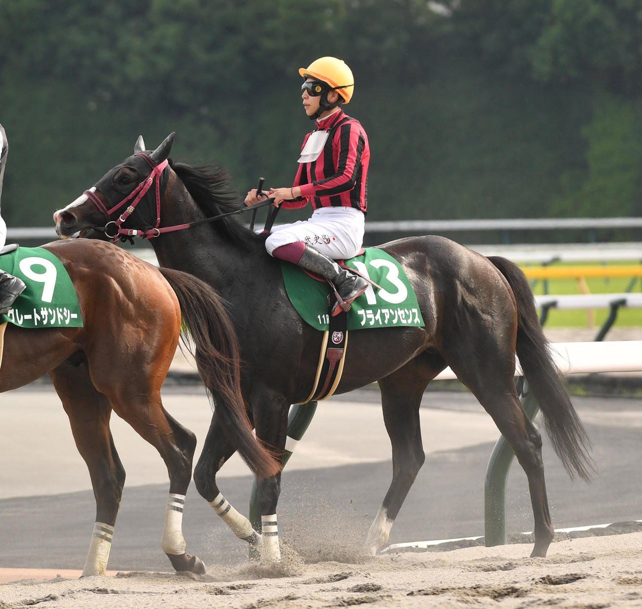 ユニコーンS3着のブライアンセンスと横山武騎手（撮影・柴田隆二）