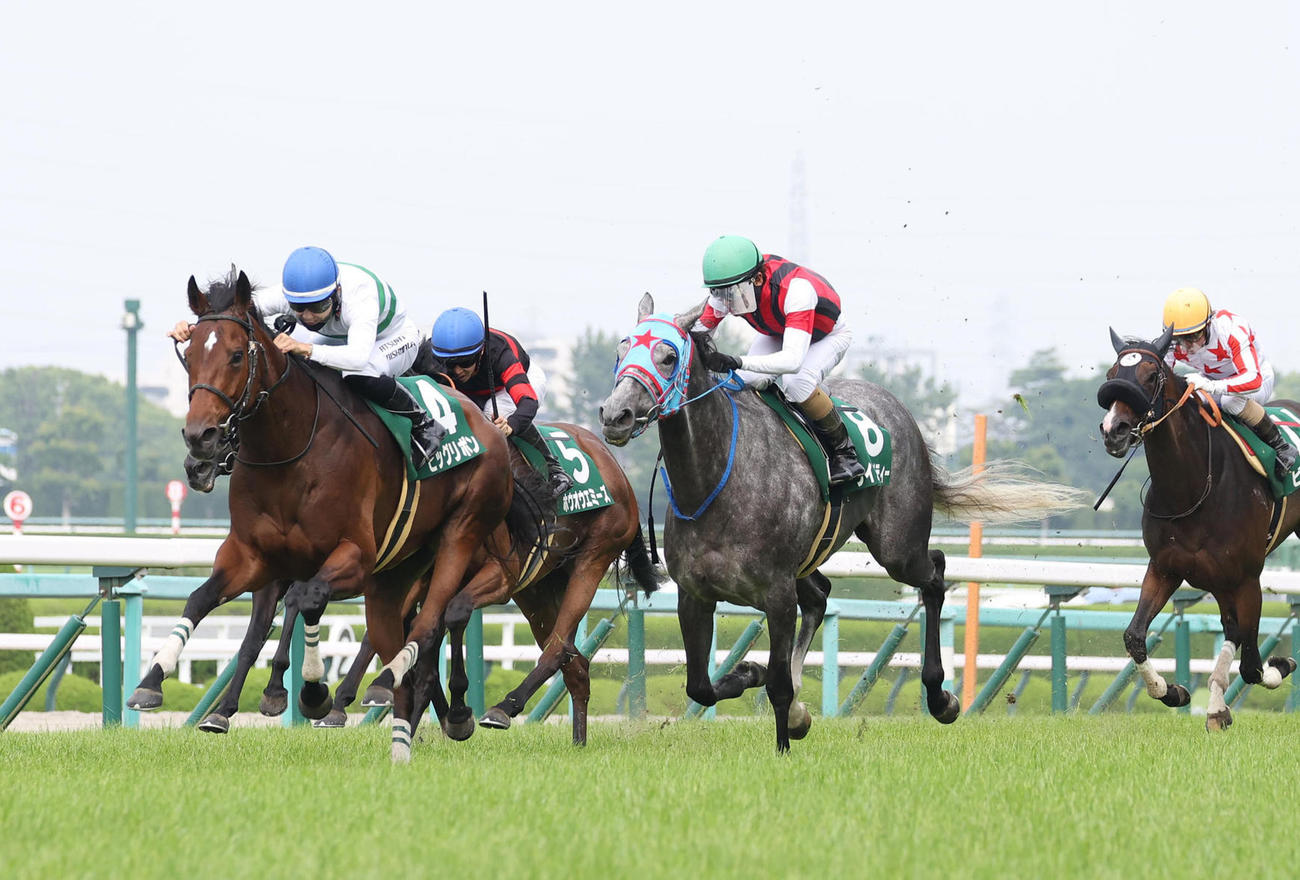 ビッグリボン（左）がマーメイドSを制した（撮影・白石智彦）