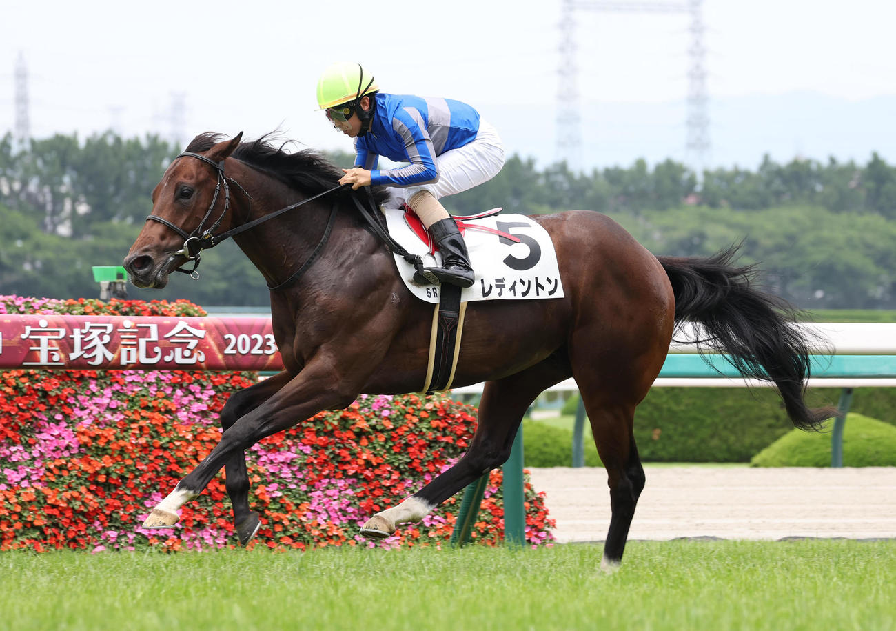 新馬戦を快勝したレディントン（撮影・白石智彦）