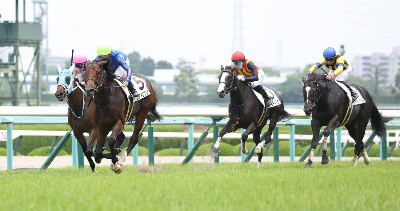 阪神5R、直線外から伸びて新馬戦を快勝したレディントン（左から2頭目）（撮影・白石智彦）