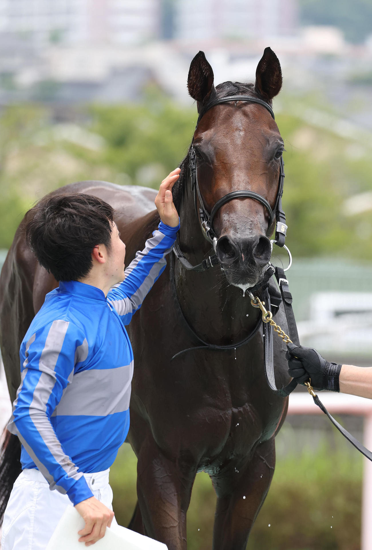 阪神5R、新馬戦を快勝したレディントンをねぎらう松若騎手（撮影・白石智彦）