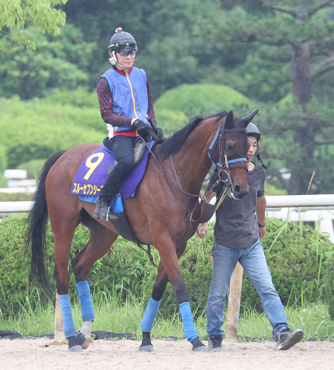 厩舎へ戻るスルーセブンシーズ（2023年6月14日撮影）