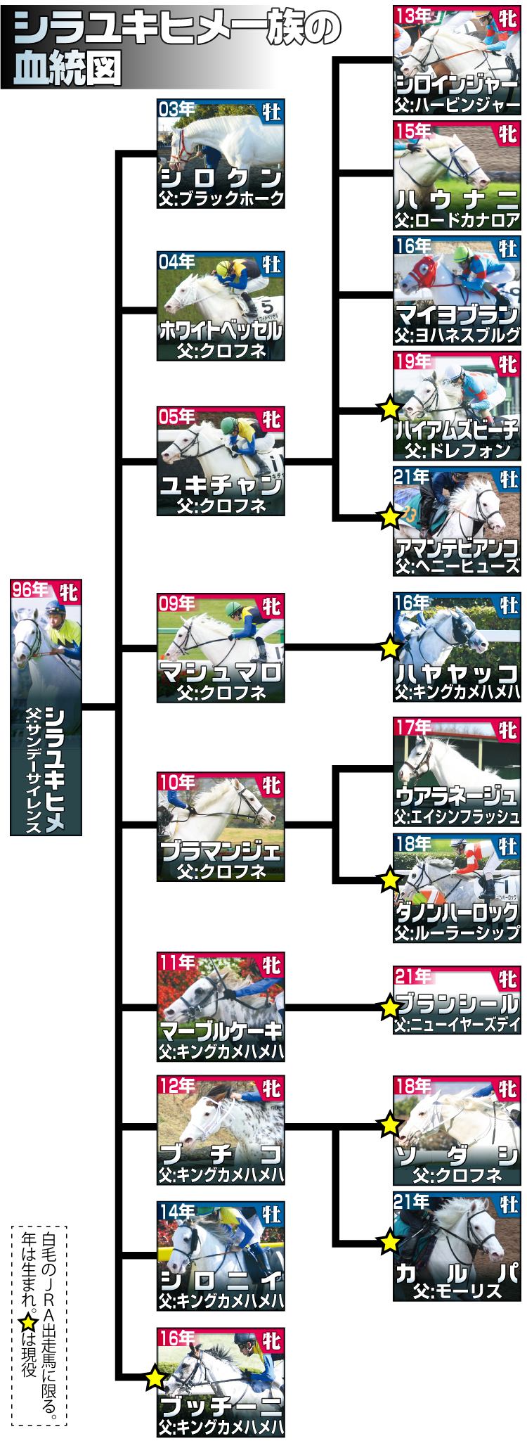 【イラスト】シラユキヒメ一族の血統図