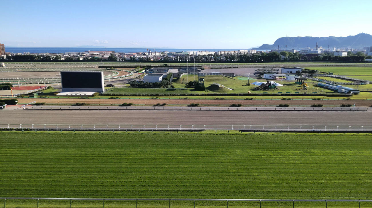好天の函館競馬場にて（撮影・木南友輔）