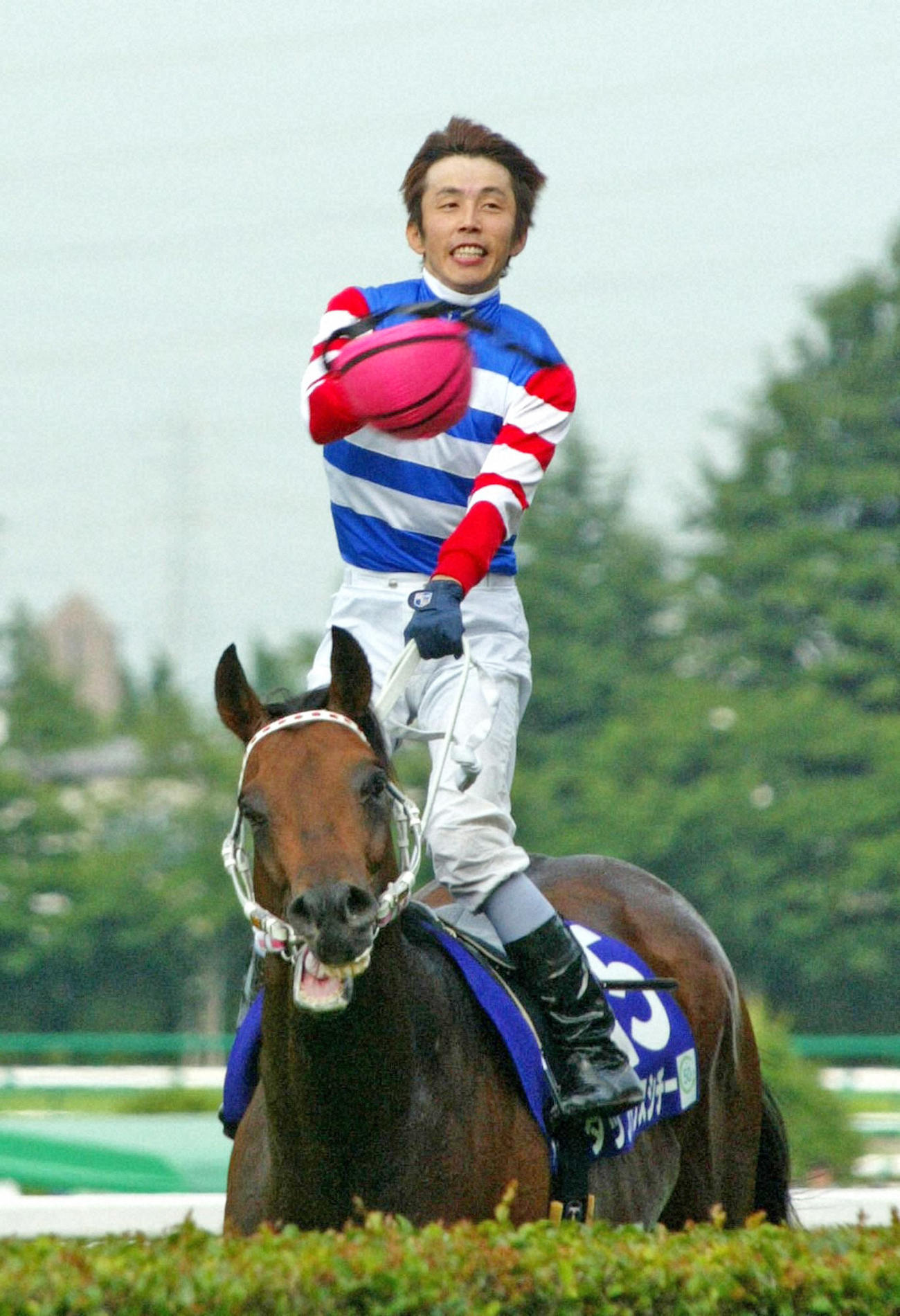 04年6月、ウイニングランを終えた佐藤哲三騎手は大勢のファンの声援に応えヘルメットを投げ込む