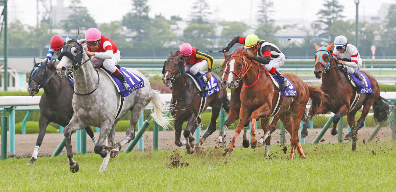 14年6月、ゴール前で力強い末脚を見せ、宝塚記念を制したゴールドシップ（左手前）