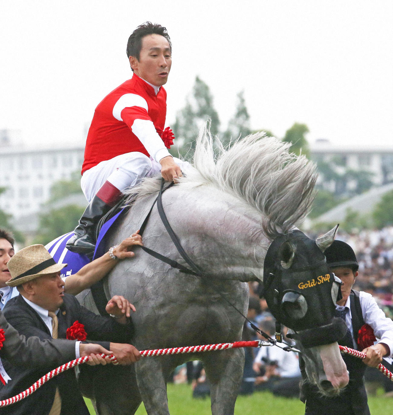 14年6月、表彰式でも元気いっぱいのゴールドシップの鞍上でビックリする横山典騎手