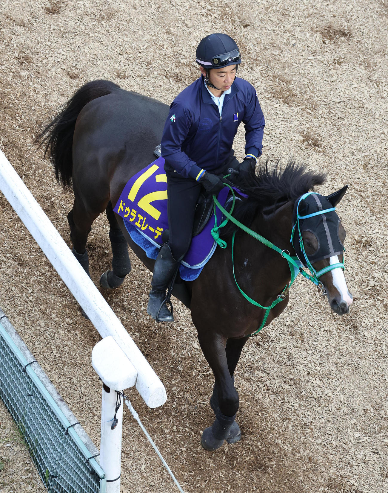 逍遥馬道で運動するドゥラエレーデ（撮影・白石智彦）