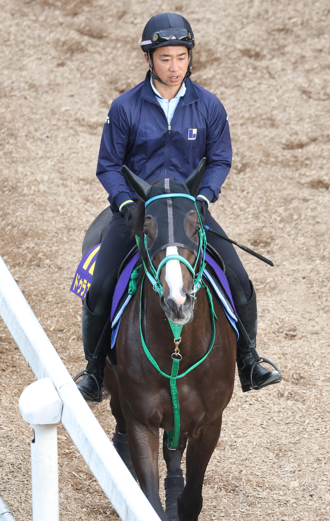 運動するドゥラエレーデ