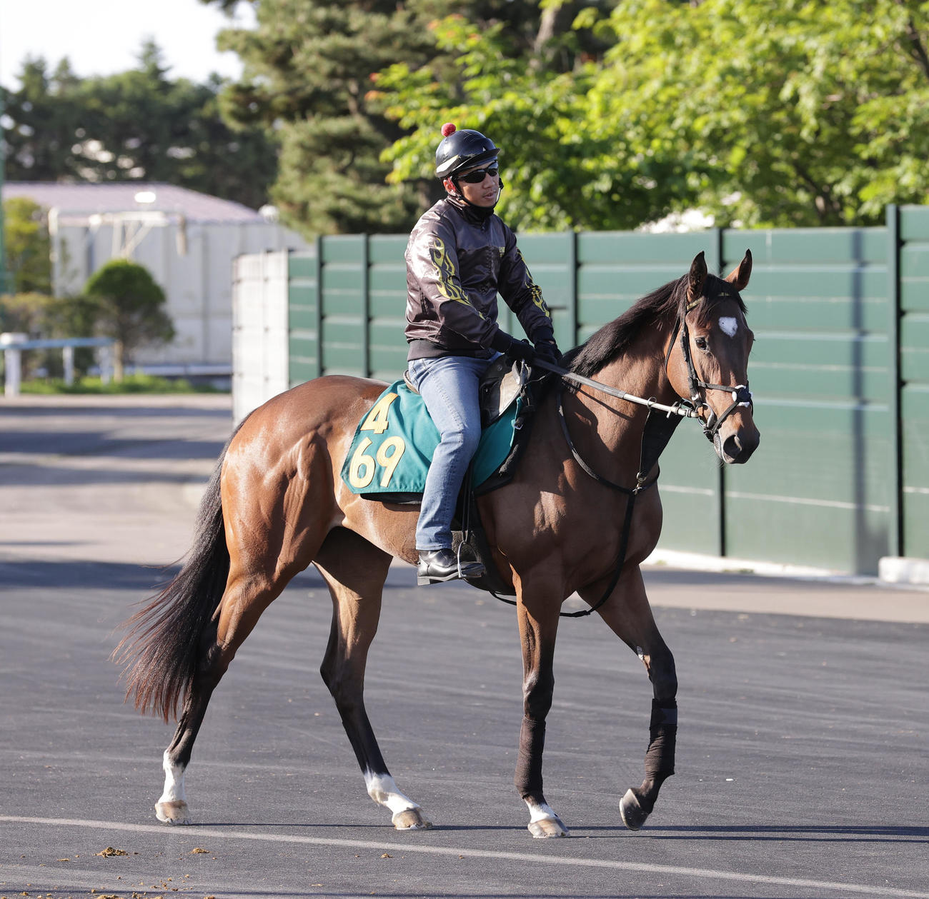 今週デビュー予定のクールベイビーは、函館競馬場で調整を積む