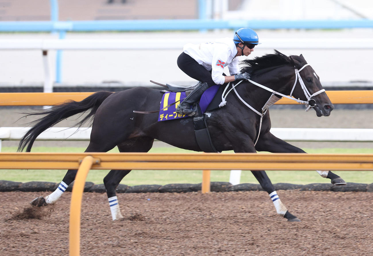和田竜騎手を背にCウッドを単走で追い切るディープボンド（撮影・白石智彦）
