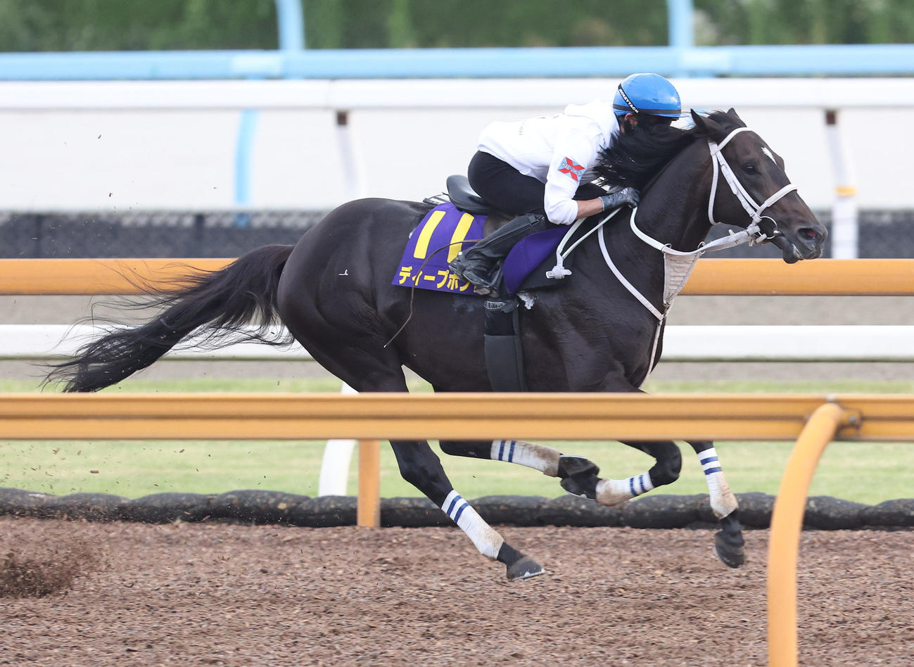 和田竜騎手を背にCウッドを単走で追い切るディープボンド（撮影・白石智彦）