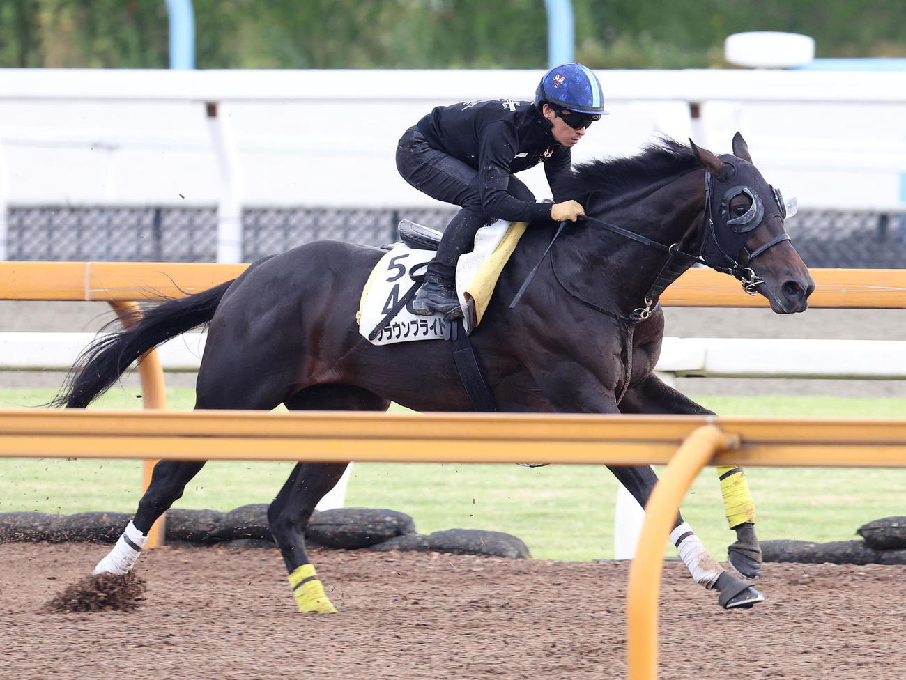 川田騎手を背にCウッドで追い切るクラウンプライド（撮影・白石智彦）