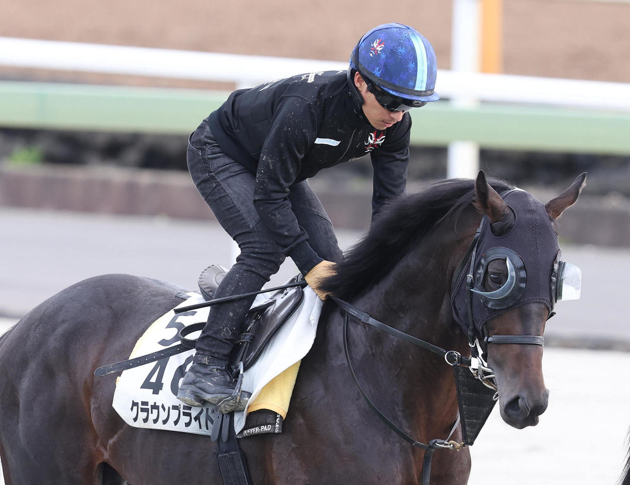 川田騎手を背に馬場入りするクラウンプライド（撮影・白石智彦）