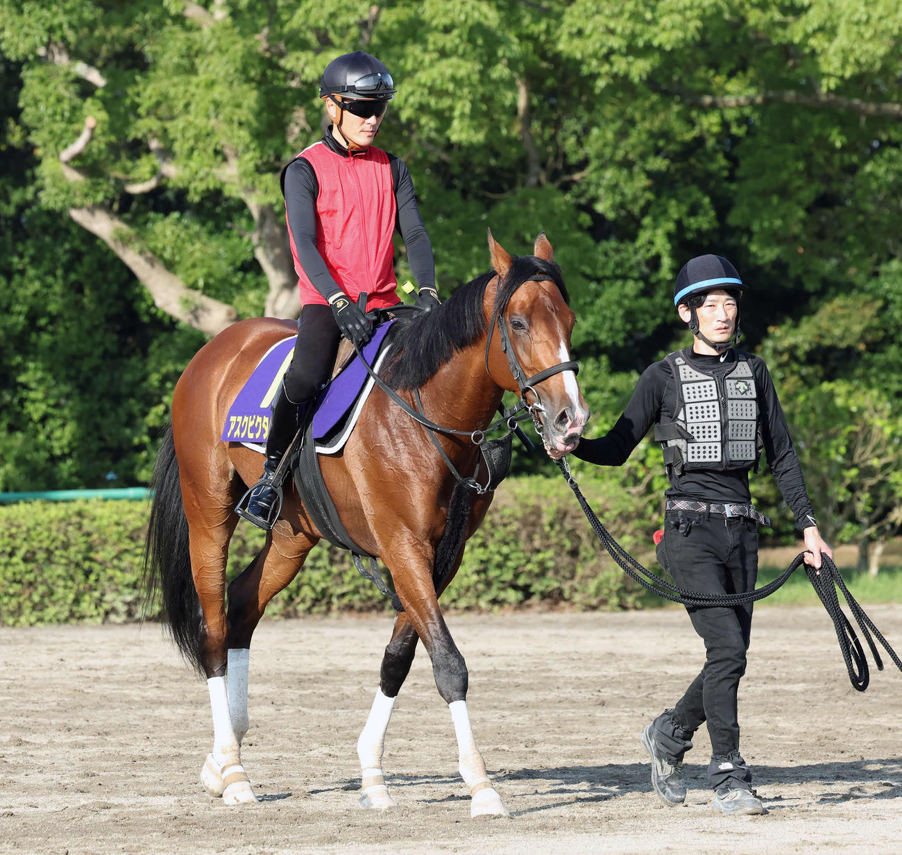 調教を終えて馬場を出るアスクビクターモア（撮影・丹羽敏通）