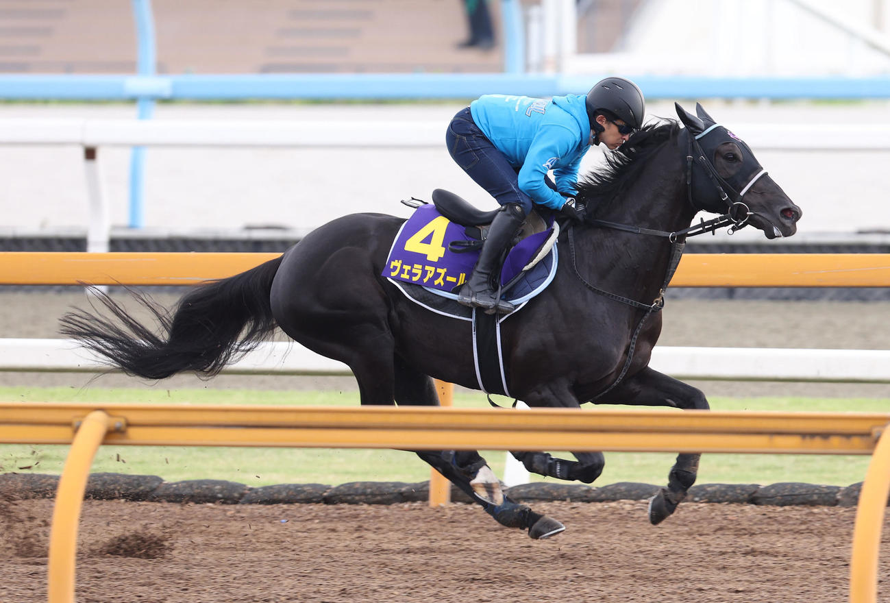 Cウッドを単走で追い切るヴェラアズール（撮影・白石智彦）