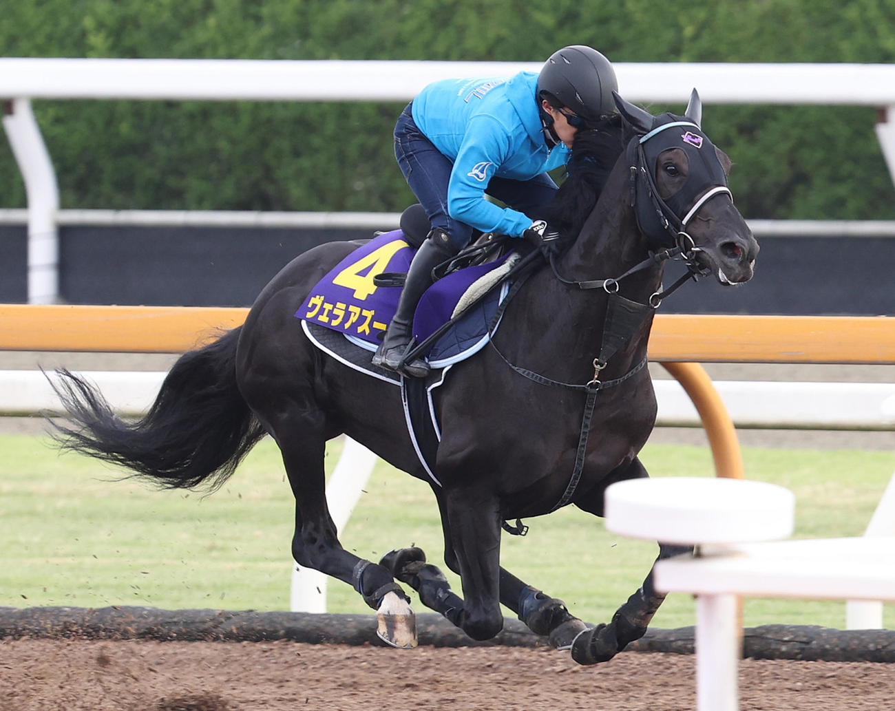 Cウッドを単走で追い切るヴェラアズール（撮影・白石智彦）
