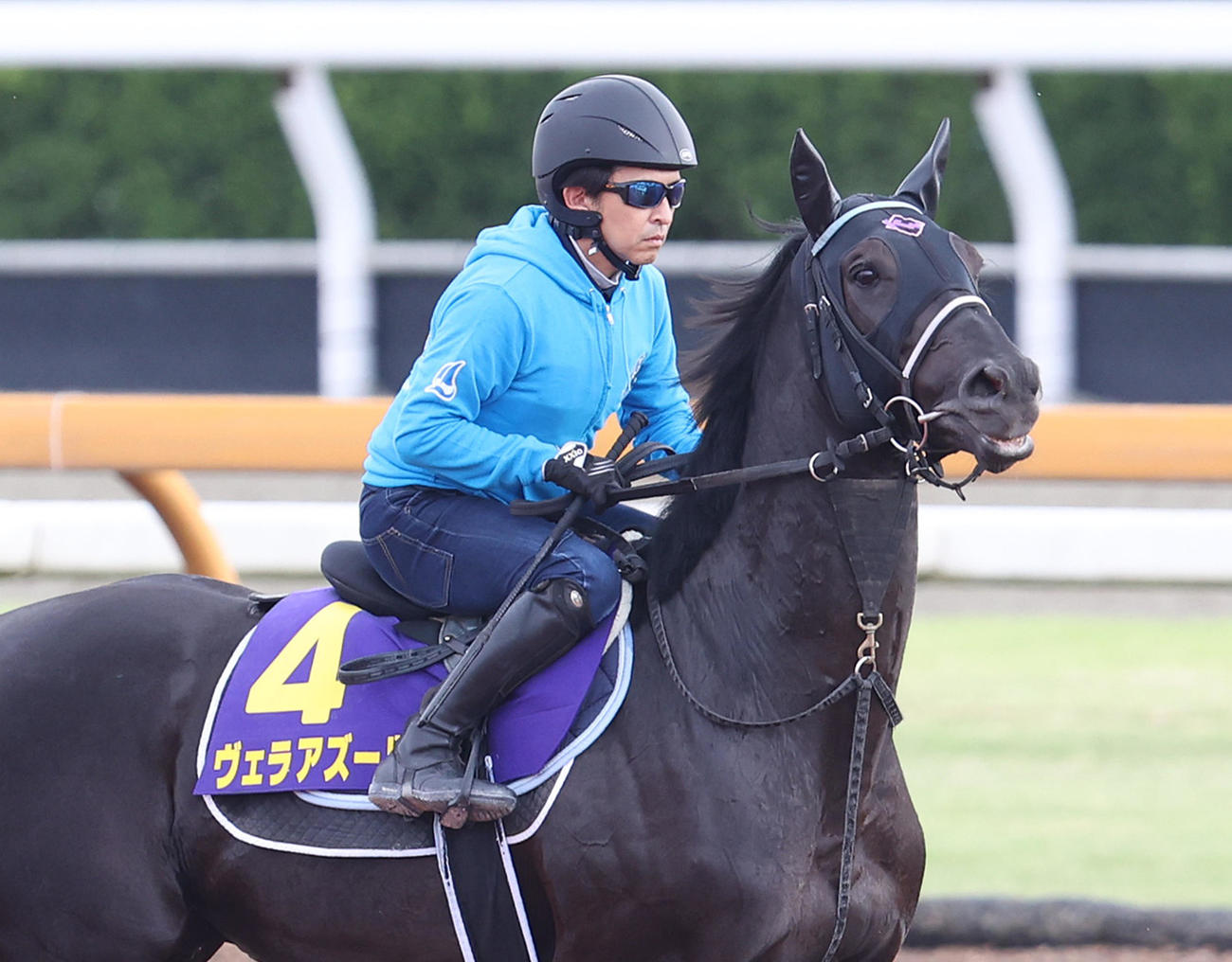 馬場入りするヴェラアズール（撮影・白石智彦）