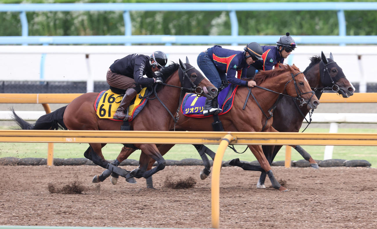 Cウッドをボーデン（左）、レガトゥス（右）と3頭併せで追い切るジオグリフ（撮影・白石智彦）