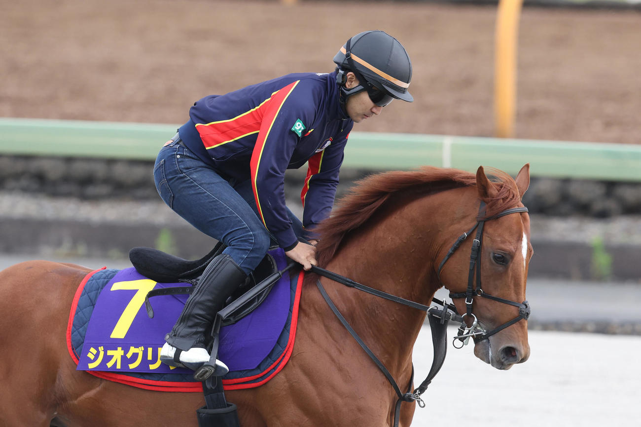 馬場入りするジオグリフ（撮影・白石智彦）