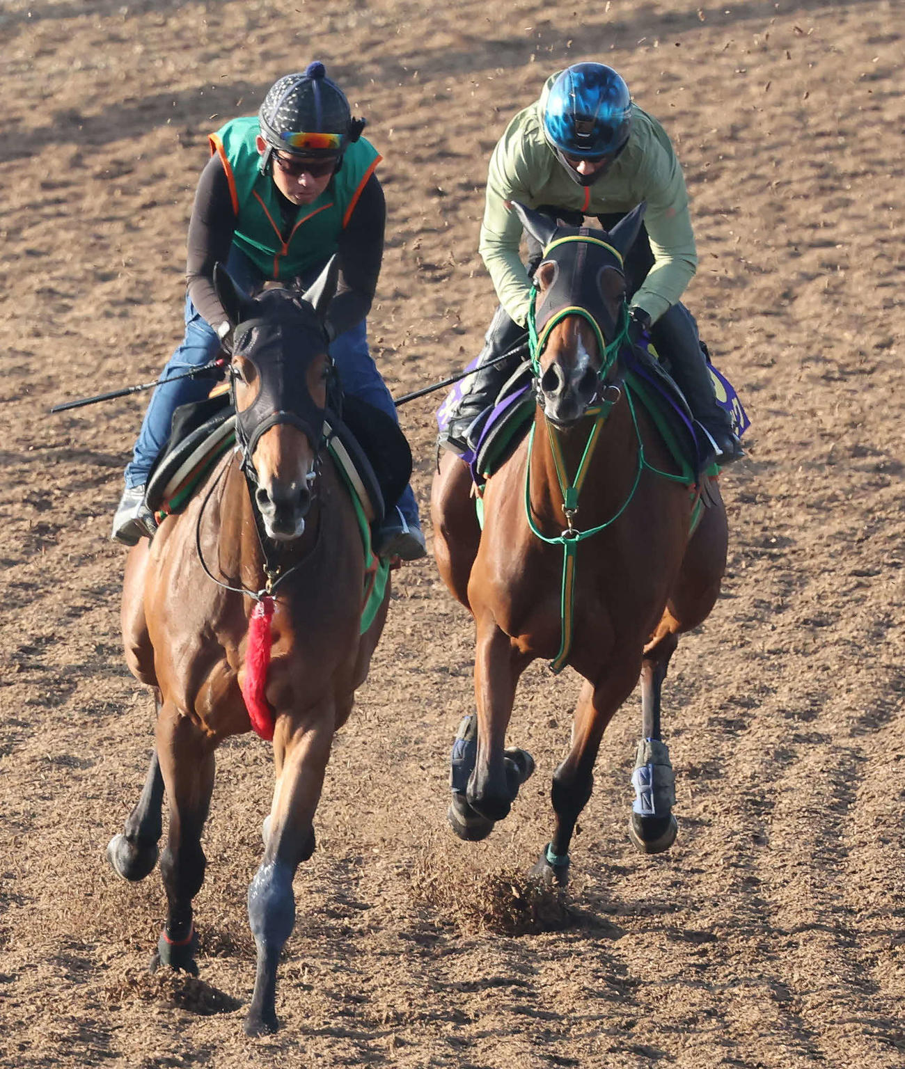 ライラック（右）は美浦ウッドを併せ馬で追い切られた（撮影・丹羽敏通）