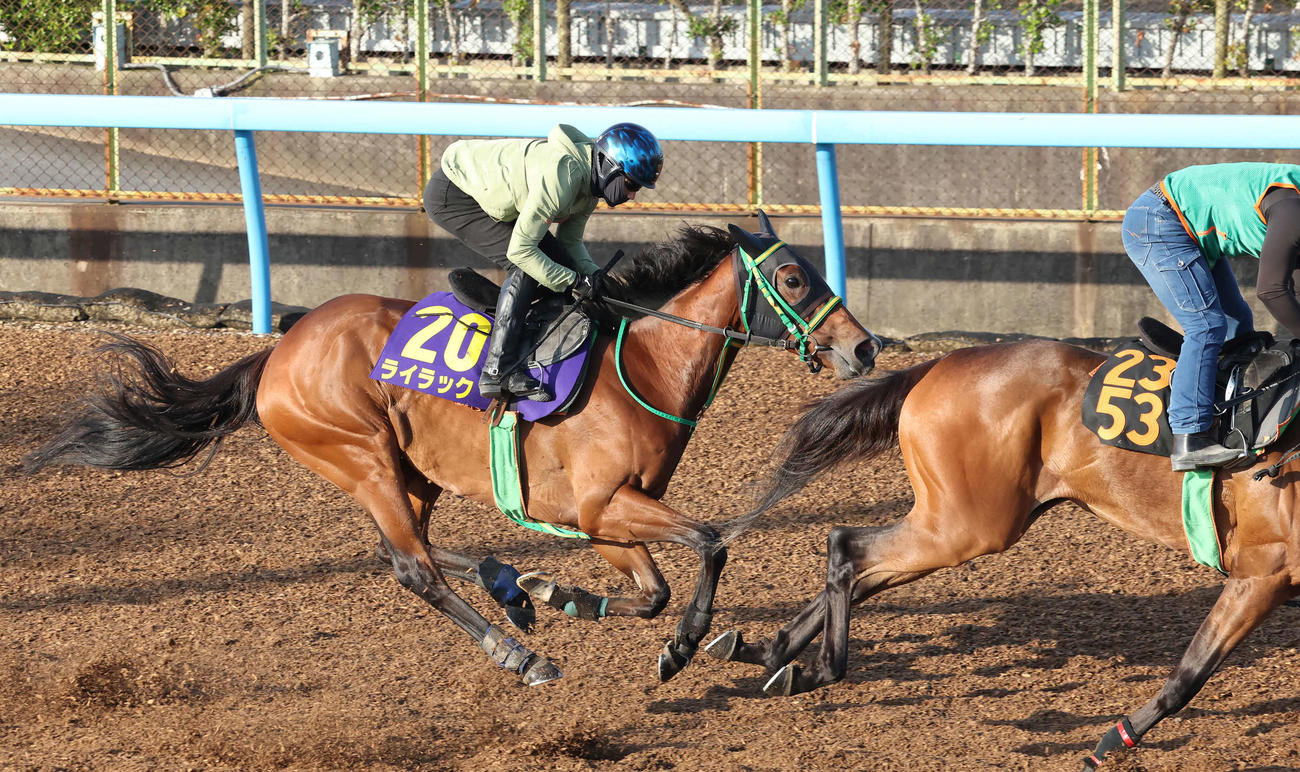 ライラック（左）は美浦ウッドを併せ馬で追い切られた（撮影・丹羽敏通）