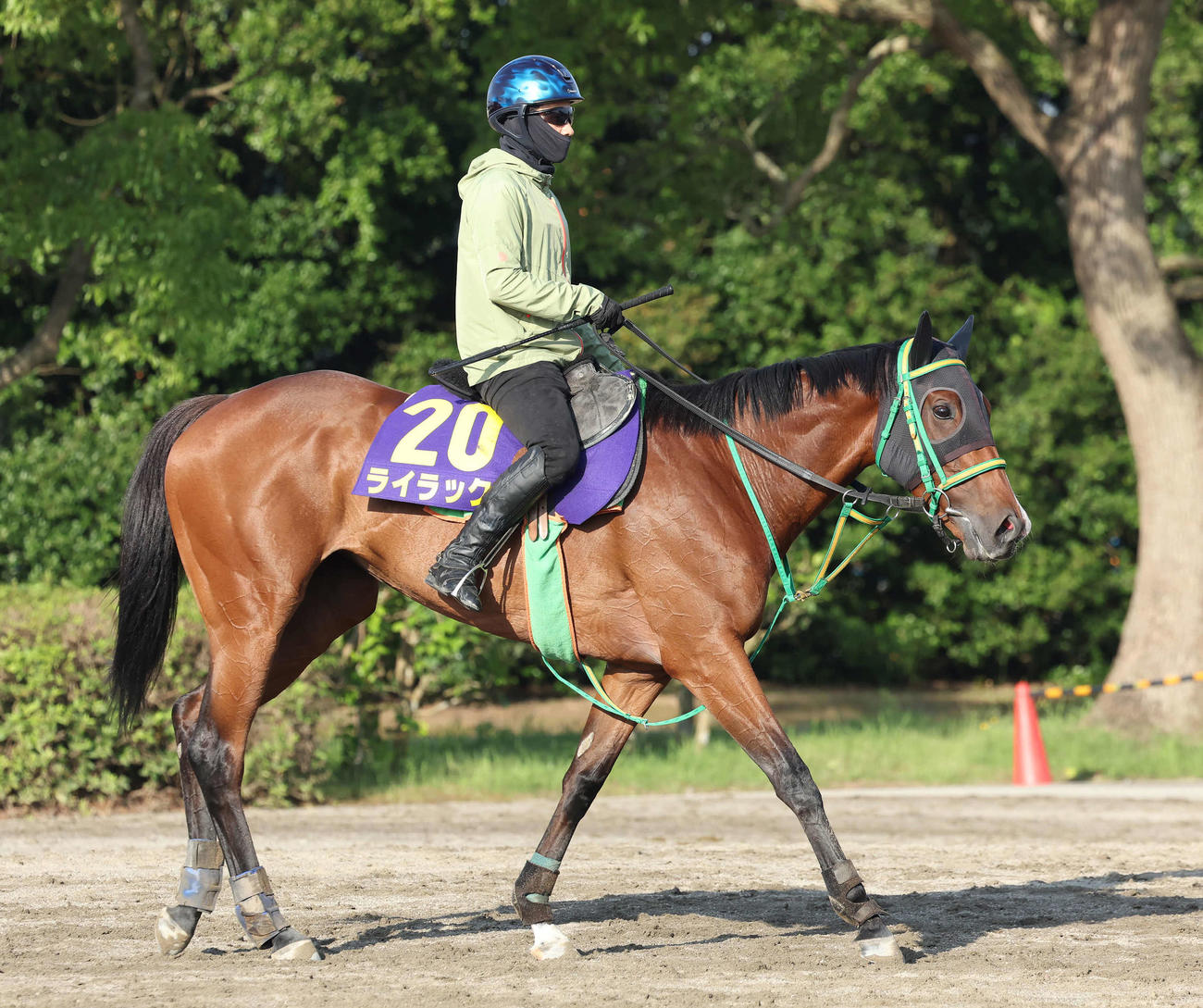 調教を終えて馬場を出るライラック（撮影・丹羽敏通）
