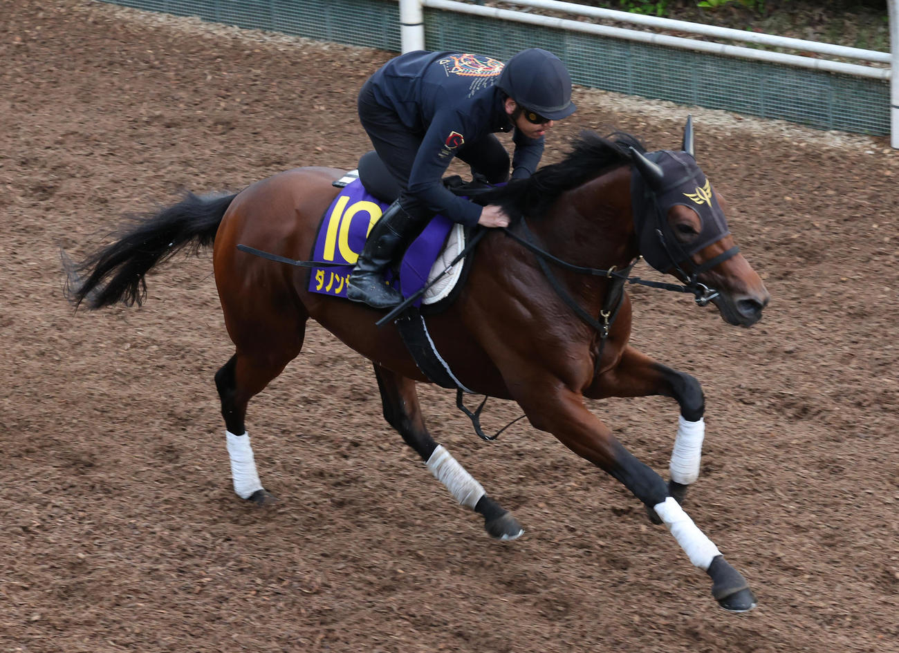 坂路で追い切るダノンザキッド