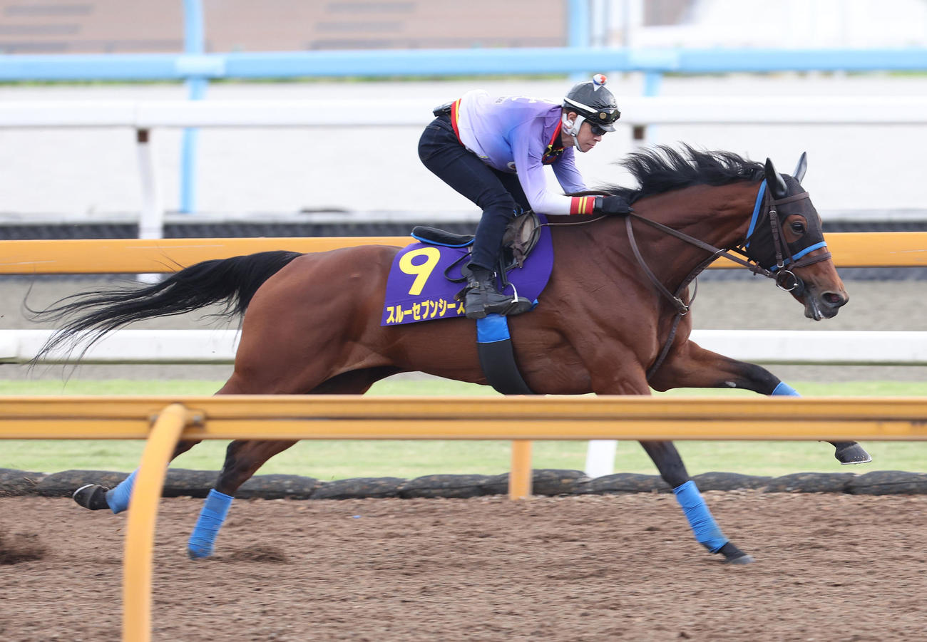 Cウッドを単走で追い切るスルーセブンシーズ（撮影・白石智彦）