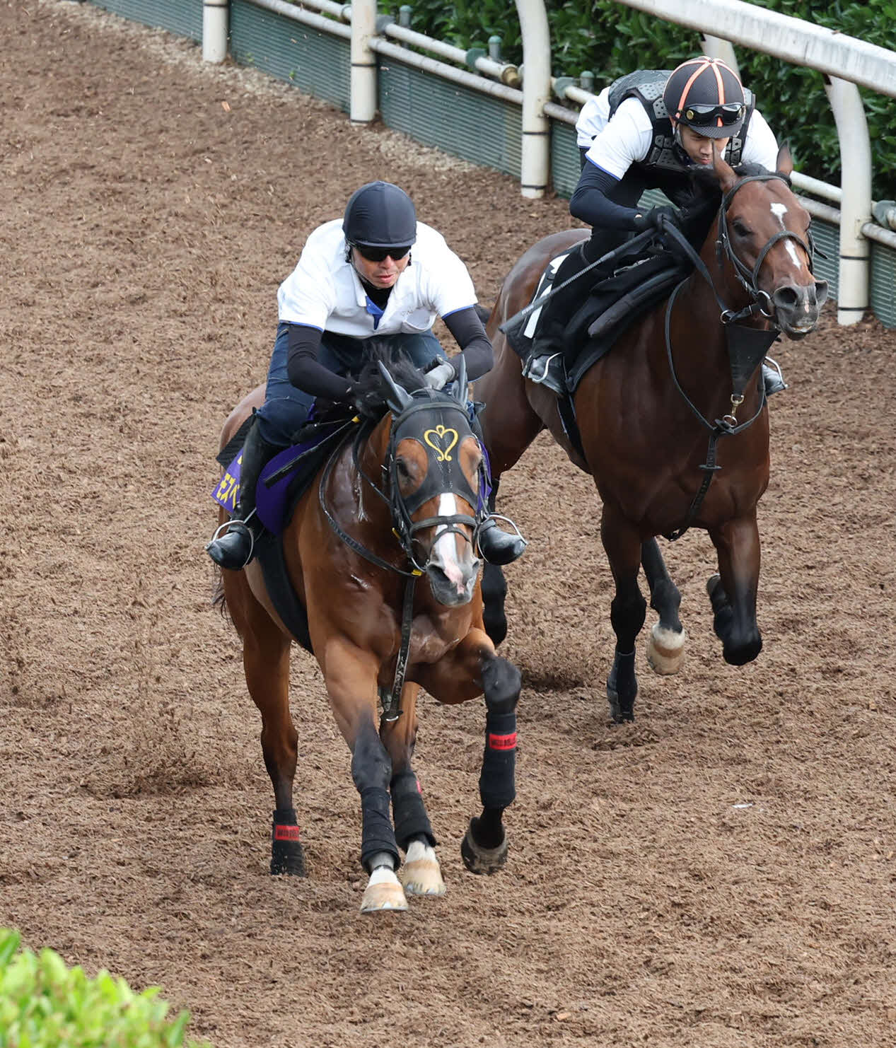 坂路にて併せ馬で追い切るモズベッロ（左）