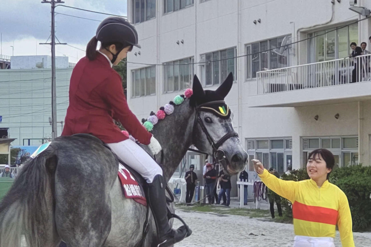 船橋競馬場でこの日誘導馬デビューのミューチャリーをなでる今村騎手