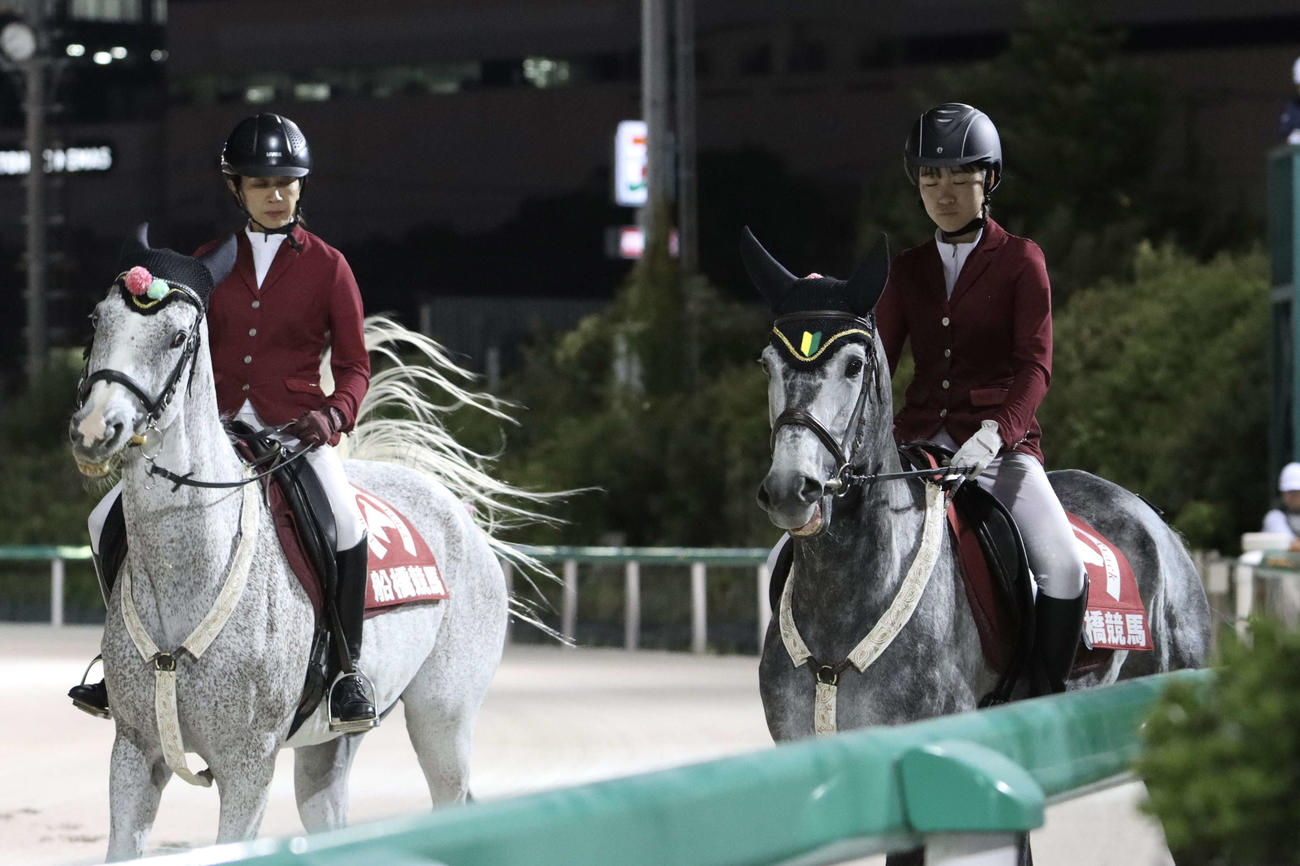 先輩誘導馬のタカラスノーウエーブと並んで初めての誘導に臨むミューチャリー（右）