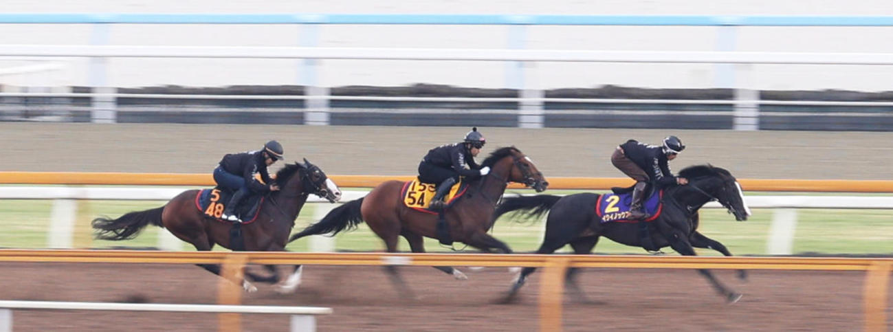CWコースを3頭併せで追い切るイクイノックス（右）