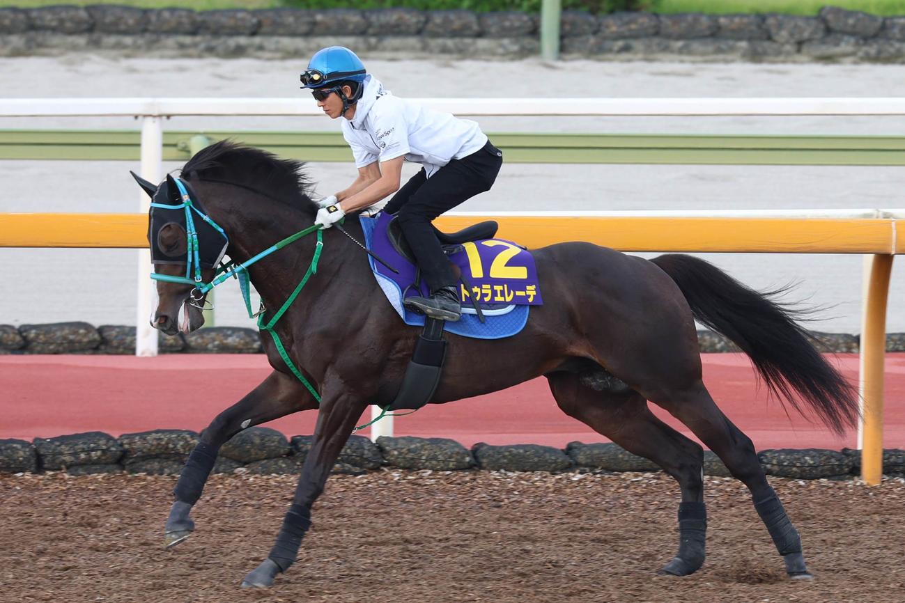 馬場入りする幸英明騎乗のドゥラエレーデ