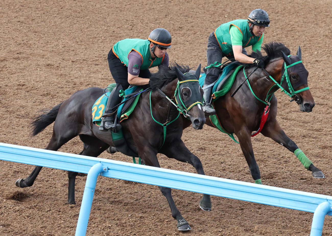21日、相沢厩舎のニシノクラウン（左）は美浦ウッドを併せ馬で追い切られた