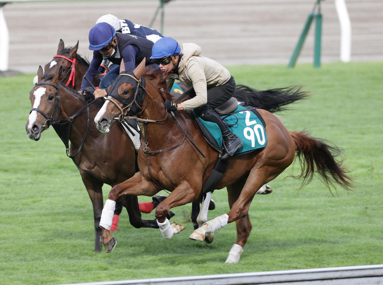 21日、角田大和騎手を背に、函館芝コースで併せ馬で追い切られるメイショウマサユメ（右端）
